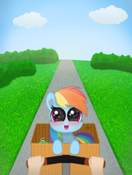 Size: 1500x2000 | Tagged: safe, artist:limitmj, imported from derpibooru, rainbow dash, tank, human, pegasus, pony, basket, bicycle, blushing, cloud, cute, dashabetes, female, grass, hand, looking at you, mare, open mouth, toy, tree