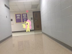 Size: 4032x3024 | Tagged: safe, imported from derpibooru, fluttershy, bat pony, pony, augmented reality, bat ponified, door, flutterbat, gameloft, hallway, irl, photo, race swap, school