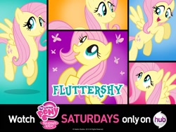 Size: 1600x1200 | Tagged: safe, imported from derpibooru, fluttershy, butterfly, pegasus, cute, female, hub logo, my little pony logo, official, only on the hub, pony history, shyabetes, the hub