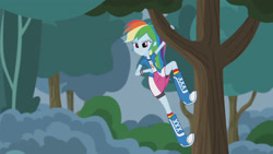 Size: 3410x1920 | Tagged: safe, imported from derpibooru, screencap, rainbow dash, equestria girls, friendship games, pinkie spy (short), boots, clothes, compression shorts, cutie mark, cutie mark on clothes, female, hanging, high res, jacket, open clothes, open jacket, shoes, shorts, skirt, skirt lift, smiling, socks, solo, spying, tree, tree branch, wristband