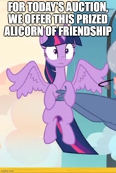 Size: 500x742 | Tagged: safe, edit, edited screencap, imported from derpibooru, screencap, iron will, twilight sparkle, alicorn, minotaur, pony, once upon a zeppelin, auction, caption, carrying, cropped, female, holding a pony, image macro, solo focus, spread wings, text, twilight sparkle (alicorn), wings