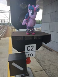 Size: 3096x4128 | Tagged: safe, imported from derpibooru, twilight sparkle, alicorn, pony, clothes, female, gdansk, irl, mare, photo, plushie, poland, ponies around the world, railroad, railway platform, railway signal, signal, socks, train station, twilight sparkle (alicorn)