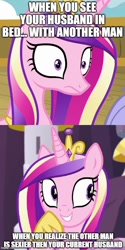 Size: 500x1000 | Tagged: safe, edit, edited screencap, imported from derpibooru, screencap, princess cadance, alicorn, pony, once upon a zeppelin, caption, cropped, female, image macro, implied shining armor, infidelity, mare, solo, text