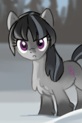 Size: 212x316 | Tagged: safe, artist:marbo, edit, octavia melody, earth pony, pony, /mlp/, alternate hairstyle, cropped, cute, drawthread, female, fluffy, mare, race swap, recolor, snow, snowpony (species), solo, taiga pony