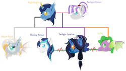 Size: 1280x720 | Tagged: safe, artist:gaianknightalpha, imported from derpibooru, night light, shining armor, spike, twilight sparkle, twilight velvet, oc, oc:moon tears, alicorn, bat pony, bat pony alicorn, bat pony unicorn, hybrid, unicorn, adopted offspring, bat wings, family tree, female, half-siblings, horn, male, nightvelvet, offspring, parent:night light, parent:unnamed oc, parents:canon x oc, race swap, shipping, simple background, straight, transparent background, wings