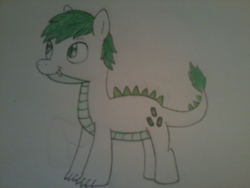 Size: 1600x1200 | Tagged: safe, artist:miss-barker, imported from derpibooru, oc, oc only, oc:emerald shine, dracony, dragon, hybrid, pony, interspecies offspring, male, offspring, parent:rarity, parent:spike, parents:sparity, solo, traditional art