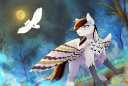 Size: 4456x3000 | Tagged: safe, artist:mr-tiaa, imported from derpibooru, oc, oc:silent flight, bird, hippogriff, owl, dead tree, full moon, illusion, mask, moon, stars, talons, tree