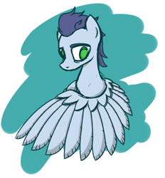 Size: 1234x1327 | Tagged: safe, artist:superderpybot, imported from ponybooru, soarin', pegasus, pony, male, solo, stallion, wings