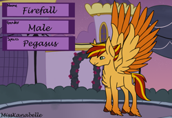 Size: 4199x2880 | Tagged: safe, artist:misskanabelle, imported from derpibooru, oc, oc only, oc:firefall, pegasus, pony, chest fluff, hoof fluff, male, outdoors, pegasus oc, reference sheet, solo, stallion, two toned wings, wings