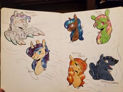 Size: 4032x3024 | Tagged: safe, artist:bestbithe15th, imported from derpibooru, oc, oc only, oc:blush, oc:northern lights, oc:sparkling flame, oc:spring lily, oc:stormy waters, oc:zia, earth pony, pegasus, pony, unicorn, bust, horn, pegasus oc, traditional art, unicorn oc, wings