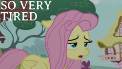 Size: 1280x720 | Tagged: safe, edit, edited screencap, editor:quoterific, imported from derpibooru, screencap, fluttershy, pegasus, pony, season 8, yakity-sax, spoiler:s08, female, floppy ears, mare, messy mane, open mouth, solo, tired