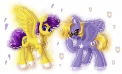 Size: 2048x1246 | Tagged: safe, artist:avrameow, imported from derpibooru, oc, oc only, oc:lila lilark, oc:skyspark, pegasus, pony, birthmark, blonde mane, brother and sister, female, jewelry, male, necklace, purple mane, siblings, sunglasses