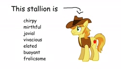 Size: 1920x1102 | Tagged: safe, imported from derpibooru, braeburn, earth pony, pony, arrow, clothes, comic sans, cowboy hat, hat, jacket, list, male, simple background, solo, stallion, text