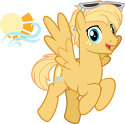 Size: 1600x1589 | Tagged: safe, artist:tacos67, imported from derpibooru, oc, oc only, oc:summer breeze, pegasus, pony, cutie mark, cutie mark only, freckles, no pony, reference sheet, simple background, solo, sunglasses, transparent background, wings