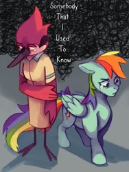 Size: 900x1200 | Tagged: safe, artist:chawcawts, imported from derpibooru, rainbow dash, bird, pegasus, pony, robin (bird), crossover, crossover shipping, crying, duo, duo female, female, gotye, kimbra, lesbian, margadash, margaret, mem, meme, red jay, regular show, shipping, somebody that i used to know