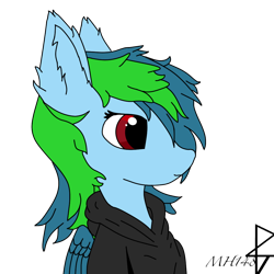 Size: 1000x1000 | Tagged: safe, artist:mh148, imported from derpibooru, oc, oc only, oc:mystic rain, hybrid, pegasus, pony, bust, clothes, ear fluff, hoodie, simple background, solo, transparent background