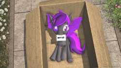 Size: 1920x1080 | Tagged: safe, artist:christian69229, imported from derpibooru, oc, oc only, oc:moonlight thunder, bat pony, pony, 3d, bat pony oc, bat wings, box, cardboard box, fangs, letter, looking at you, male, pony in a box, solo, source filmmaker, stallion, wings