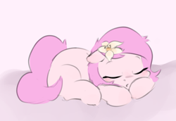 Size: 2385x1643 | Tagged: safe, artist:parfait, imported from derpibooru, oc, oc only, oc:kayla, earth pony, pony, eyes closed, female, filly, flower, flower in hair, lying down, prone, sleeping, solo