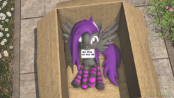 Size: 1920x1080 | Tagged: safe, artist:christian69229, imported from derpibooru, oc, oc only, oc:fritzy, pegasus, pony, 3d, box, cardboard box, clothes, female, letter, looking at you, mare, pegasus oc, pony in a box, socks, solo, source filmmaker, spread wings, striped socks, wings