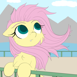 Size: 1080x1080 | Tagged: safe, artist:fajnyziomal, imported from derpibooru, fluttershy, pegasus, pony, cheek fluff, chest fluff, female, fence, floppy ears, mare, solo
