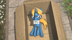 Size: 1920x1080 | Tagged: safe, artist:christian69229, imported from derpibooru, oc, oc only, oc:jack chestnut, pony, unicorn, 3d, box, cardboard box, glasses, horn, letter, looking at you, male, pony in a box, solo, source filmmaker, stallion, unicorn oc