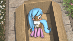 Size: 1920x1080 | Tagged: safe, artist:christian69229, imported from derpibooru, oc, oc only, oc:iva, earth pony, pony, 3d, blushing, box, cardboard box, clothes, female, letter, looking at you, mare, pony in a box, scarf, socks, solo, source filmmaker