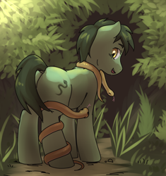 Size: 3880x4132 | Tagged: safe, artist:aquoquoo, imported from derpibooru, potion hiss, pony, snake, male, solo, stallion