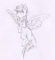 Size: 3822x4186 | Tagged: safe, artist:foxtrot3, imported from derpibooru, oc, oc:light winds, pegasus, pony, flying, monochrome, pencil drawing, solo, traditional art