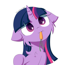 Size: 1080x1080 | Tagged: safe, artist:fajnyziomal, imported from derpibooru, twilight sparkle, pony, unicorn, carrot, cheek fluff, cute, eating, floppy ears, food, herbivore, horses doing horse things, simple background, solo, twiabetes, white background