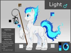 Size: 4000x3000 | Tagged: artist needed, safe, imported from derpibooru, oc, oc only, oc:deathlight, earth pony, male, reference sheet