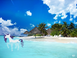 Size: 1280x960 | Tagged: safe, artist:askpinkiepieandfriends, imported from derpibooru, rarity, pony, unicorn, beach, female, irl, mare, ocean, palm tree, photo, ponies in real life, solo, swimming, tree