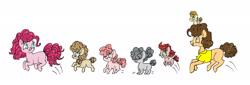 Size: 2048x696 | Tagged: safe, artist:ukulelepineapplecat, imported from derpibooru, cheese sandwich, pinkie pie, oc, earth pony, pony, baby, baby pony, cheesepie, clothes, earth pony oc, female, filly, looking back, male, mare, offspring, parent:cheese sandwich, parent:pinkie pie, parents:cheesepie, ponies riding ponies, pony hat, pronking, riding, shipping, simple background, smiling, stallion, straight, white background