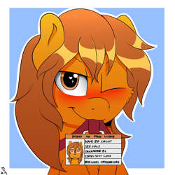 Size: 2000x2000 | Tagged: safe, artist:h3nger, imported from derpibooru, oc, oc only, oc:zip circuit, earth pony, pony, blushing, high res, horny on main, id card, implied crossdressing, license, male, solo, stallion