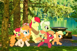 Size: 1144x766 | Tagged: safe, artist:cheezedoodle96, artist:lachlancarr1996, edit, imported from derpibooru, apple bloom, applejack, big macintosh, bright mac, granny smith, pear butter, earth pony, baby, baby apple bloom, basket, colt, colt big macintosh, female, filly, filly applejack, irl background, male, pacifier, picnic basket, real life background, younger