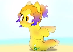 Size: 2048x1446 | Tagged: safe, artist:mochi_nation, imported from derpibooru, oc, oc only, oc:moth, earth pony, pony, beach, cute, female, gradient mane, looking back, mare, ocbetes, sitting, solo, sunburn