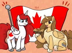 Size: 2048x1535 | Tagged: safe, artist:vanhooverpe, imported from derpibooru, oc, canada, canadian flag, clothes, costume, flag, poutine, vanhoover pony expo