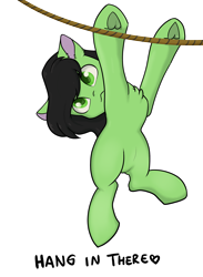 Size: 2420x3298 | Tagged: safe, artist:dumbwoofer, imported from derpibooru, oc, oc only, oc:filly anon, earth pony, pony, :<, chest fluff, ear fluff, female, filly, hang in there, hanging, high res, looking at you, meme, meme origin, ponified animal photo, rope, simple background, solo, text, transparent background, underhoof, white outline