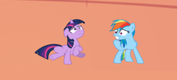 Size: 1416x647 | Tagged: safe, artist:benpictures1, imported from derpibooru, rainbow dash, twilight sparkle, pegasus, pony, unicorn, cute, dashabetes, duo, duo female, ears, ears back, female, floppy ears, gritted teeth, lesbian, mare, scared, shipping, shrunk, shrunken, shrunken ponies, shrunken pupils, spell gone wrong, twiabetes, twidash, unicorn twilight