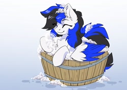 Size: 3507x2481 | Tagged: safe, artist:arctic-fox, imported from derpibooru, oc, oc only, oc:black ice, pegasus, pony, ^^, bath, chest fluff, ear fluff, eye clipping through hair, eyebrows, eyebrows visible through hair, eyes closed, high res, pegasus oc, smiling, soap, solo, wings