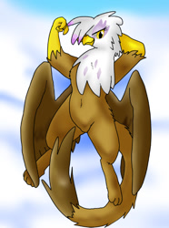 Size: 595x800 | Tagged: safe, artist:kushina13, imported from derpibooru, gilda, griffon, beak, belly button, body pillow, body pillow design, cloud, female, smiling, solo, tail, wings