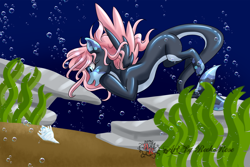 Size: 1280x854 | Tagged: safe, artist:reekarose, imported from derpibooru, oc, oc only, merpony, blue background, blue eyes, bubble, digital art, female, fish tail, flowing mane, flowing tail, happy, mare, ocean, open mouth, pink mane, rock, sand, seashell, seaweed, signature, simple background, smiling, solo, spread wings, swimming, tail, underwater, water, wings