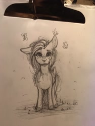 Size: 768x1024 | Tagged: safe, artist:miokomata, imported from derpibooru, fluttershy, butterfly, pegasus, pony, cute, daaaaaaaaaaaw, female, freckles, freckleshy, looking at you, mare, monochrome, one ear down, pencil drawing, shyabetes, solo, traditional art