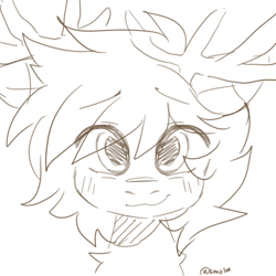 Size: 1000x1000 | Tagged: safe, artist:cottonsweets, imported from derpibooru, oc, oc:sirpsychojr, deer, antlers, bust, cute, looking at you, sketch