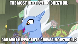 Size: 888x499 | Tagged: safe, edit, edited screencap, imported from derpibooru, screencap, sky beak, classical hippogriff, hippogriff, surf and/or turf, caption, image macro, meme, question, smiling, text