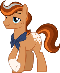 Size: 1330x1627 | Tagged: safe, artist:pegasski, imported from derpibooru, oc, oc only, oc:southern sunshine, earth pony, pony, male, simple background, solo, stallion, transparent background
