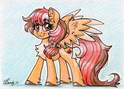 Size: 2054x1473 | Tagged: safe, artist:dandy, imported from derpibooru, oc, oc only, pegasus, pony, colored pencil drawing, female, looking at you, solo, traditional art, unshorn fetlocks, wings