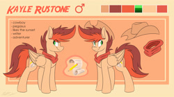 Size: 5000x2800 | Tagged: safe, artist:kaylerustone, imported from derpibooru, oc, oc only, oc:kayle rustone, pegasus, pony, clothes, cowboy hat, hat, male, reference sheet, scarf