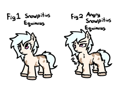 Size: 934x640 | Tagged: safe, artist:neuro, imported from ponybooru, oc, oc only, oc:puffins, pony, /mlp/, angry, chest fluff, ear fluff, ears, female, fluffy, lidded eyes, mare, piebald, simple background, snowpity, snowpony (species), solo, taiga pony, unshorn fetlocks, white background