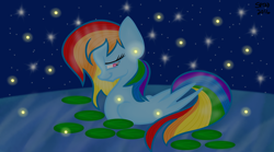 Size: 1440x803 | Tagged: safe, artist:skypaw122, imported from derpibooru, rainbow dash, firefly (insect), insect, pegasus, pony, bedroom eyes, eyelashes, female, mare, pond, smiling, solo, stars, wings