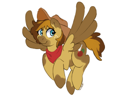 Size: 9600x7200 | Tagged: safe, artist:holidaye, imported from derpibooru, oc, oc only, oc:kaiti, pegasus, pony, absurd resolution, female, hat, mare, simple background, solo, transparent background